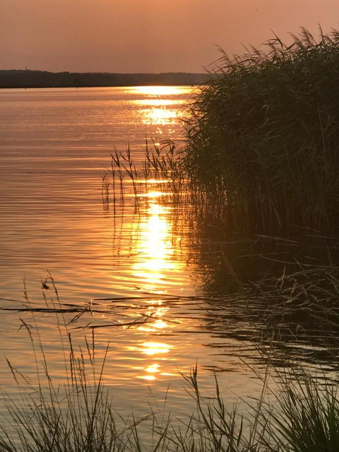 Goa Auf Usedom *