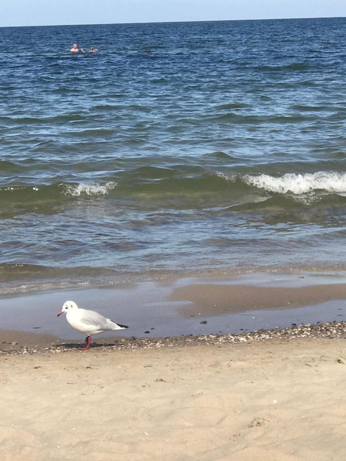 Goa Auf Usedom *